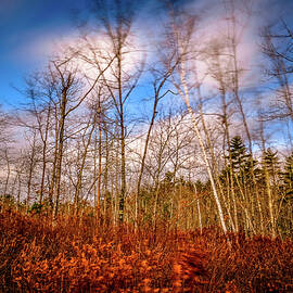 Wind Blown Vignette  by Jeff Sinon