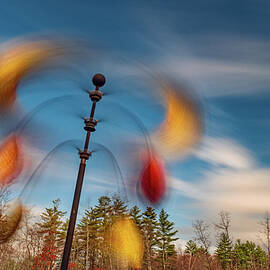 Wind Through The Garden  by Jeff Sinon