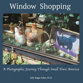Window Shopping by Sally Fuller
