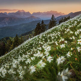 Windy evening by Piotr Skrzypiec