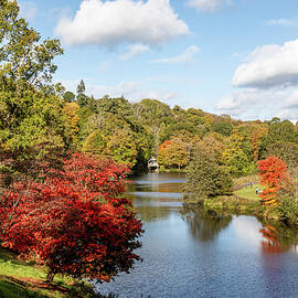 Winkworth Arboretum Lake #1 by Shirley Mitchell