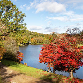 Winkworth Arboretum Lake by Shirley Mitchell