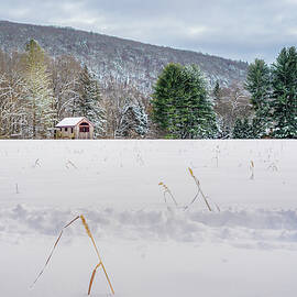 Winter Cabin in Snowy Field by Dave King