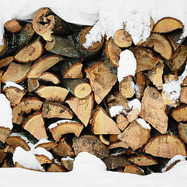 Winter Firewood by Steven Nelson