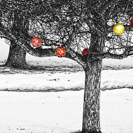 Winter fruits by Tatiana Travelways