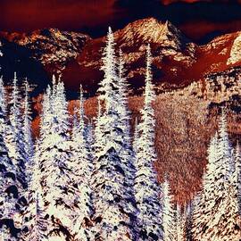 winter in the mountains by Bruce Block