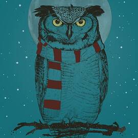 Winter owl II by Balazs Solti