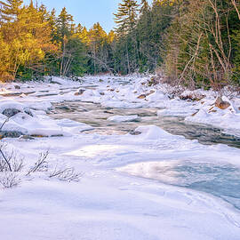 Winter Swift by Jeff Sinon
