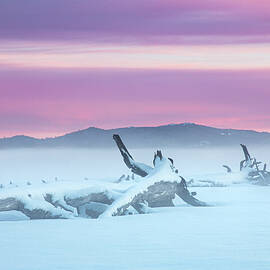 Winter Tranquility on the Flats by Mike Lee