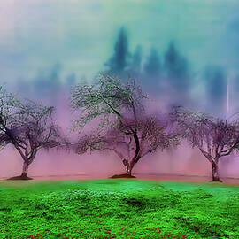 winter trees in the park by Bruce Block