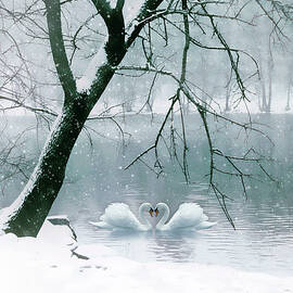 Winter Waltz in Snow  by Jessica Jenney