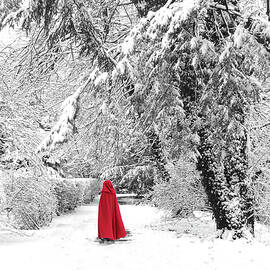 Winter Wonderland Walk II by Jessica Jenney