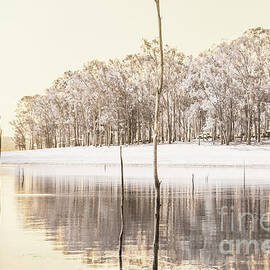 Winters edge by Jorgo Photography