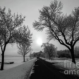 Winter's Whisper by Mark Triplett