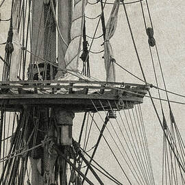 Wisdom by John Linnemeyer