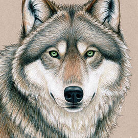 Wolf with Eyes of Fierce Green Fire by Rebecca Wang