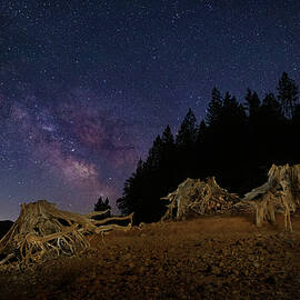 Wooden Spiders Under the Stars by Mike Lee