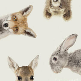 Woodland animals by Julia July