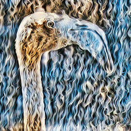 Woolly flamingo portrait  by Bruce Block