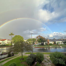 X2 Rainbow with Hummingbird by Joe Schofield