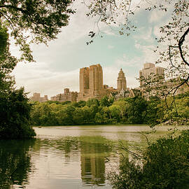 Majestic in Spring by Jessica Jenney