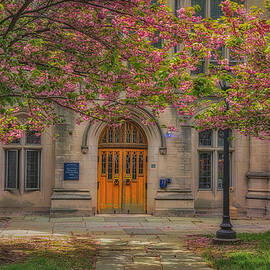 Yale Sheffield Sterling  by Susan Candelario