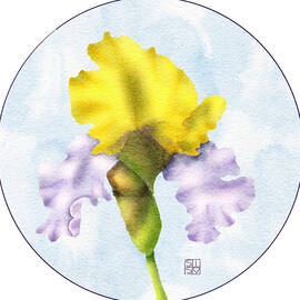 Yellow and Purple Iris in Bloom by Snow Iris Studio