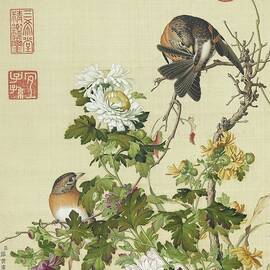 Yellow and white chrysanthemums and birds - Chinese flower and bird paintings, Giuseppe Castiglione by Giuseppe Castiglione Lang Shining