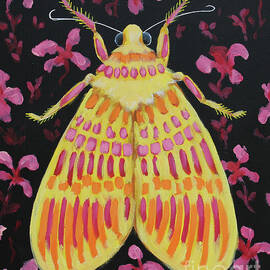 Yellow Moth by Lucia Stewart