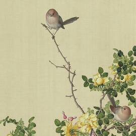 Yellow prickly rose, bleeding heart flower and parrotbill - Chinese flower and bird paintings by Giuseppe Castiglione Lang Shining