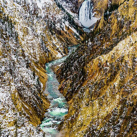 Yellowstone Falls and Canyon by Tommy Farnsworth