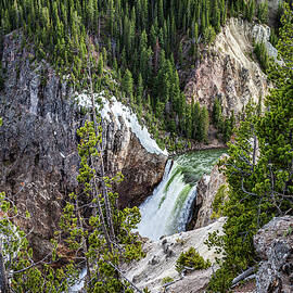 Yellowstone Falls Overlook by Tommy Farnsworth