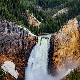 Yellowstone Falls by Tommy Farnsworth