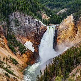 Yellowstone Falls View by Tommy Farnsworth