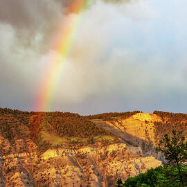 Yellowstone Rainbow by Tatiana Travelways
