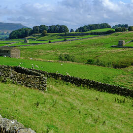 Yorkshire Dales by Seeables Visual Arts