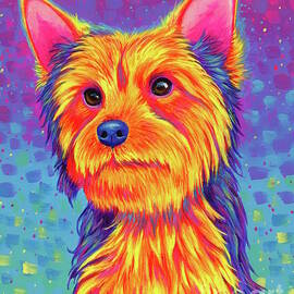 Yorkshire Terrier by Rebecca Wang