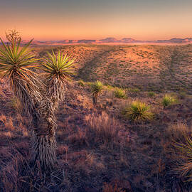 Yucca Island by Slow Fuse Photography