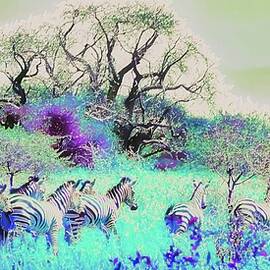 Zebras in a Surreal Landscape by Bruce Block