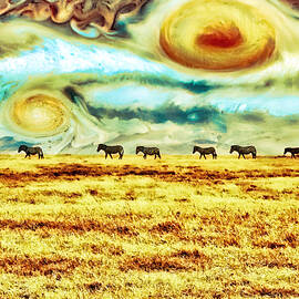 Zebras with Jupiter Sky by Bruce Block