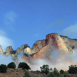 Zion in the Fog by Joe Schofield