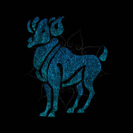 Zodiac Sign Pisces by Flippin Sweet Gear