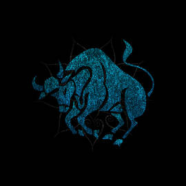 Zodiac Sign Taurus by Flippin Sweet Gear