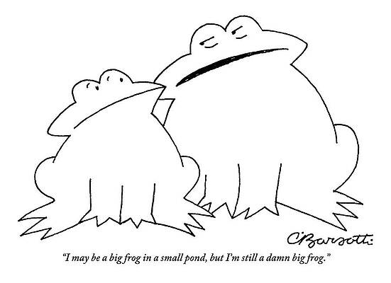 Two Cartoon Frogs Talking Wall Art