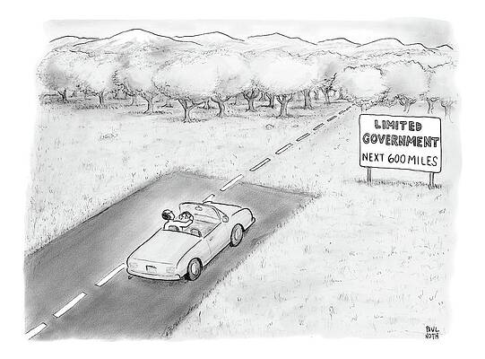 Limit Drawing - Limited Government by Paul Noth