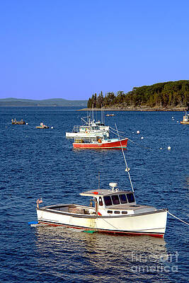 Boats on a Tranquil Sea Photograph