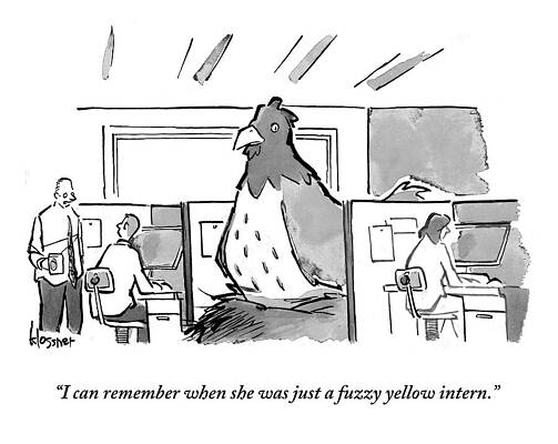 Chicken Wall Art featuring the drawing A Gigantic Hen Sits In An Office Cubicle #1 by John  Klossner