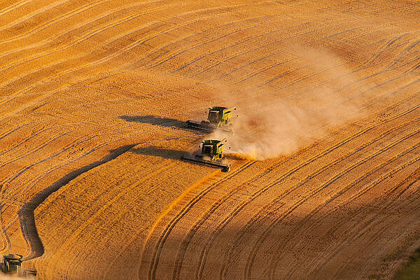 Summer Photograph - Almost Finished by Mary Jo Allen