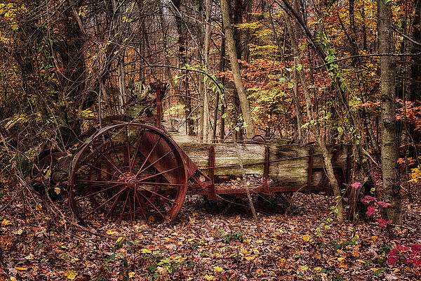 Wall Art featuring the photograph Antique Manure Spreader In The Forest. #1 by Jeff Sinon