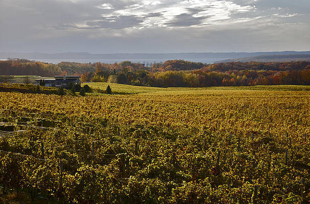 Michigan Wall Art featuring the photograph Autumn On Old Mission Peninsula  #1 by Owen Weber